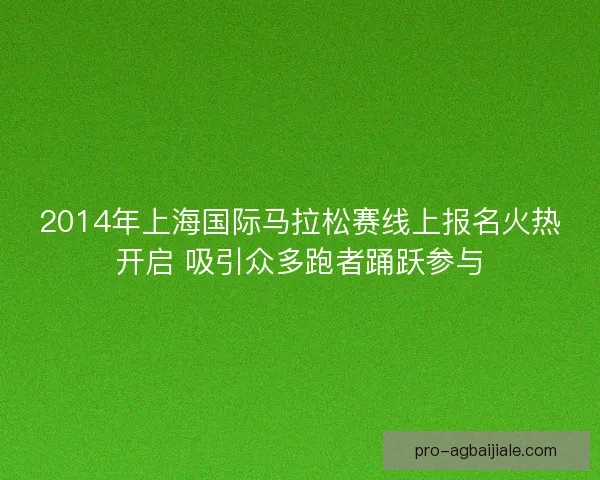 2014年上海国际马拉松赛线上报名火热开启 吸引众多跑者踊跃参与