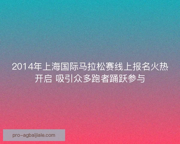 2014年上海国际马拉松赛线上报名火热开启 吸引众多跑者踊跃参与