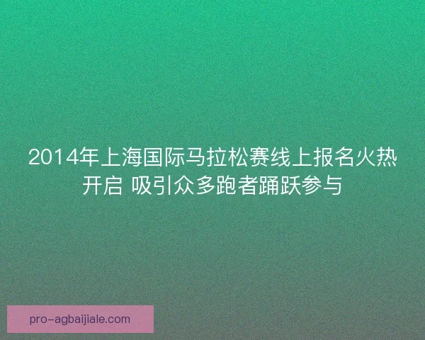 2014年上海国际马拉松赛线上报名火热开启 吸引众多跑者踊跃参与