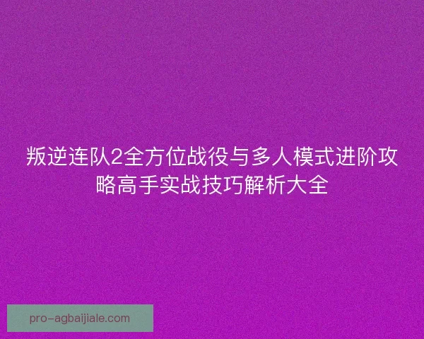 叛逆连队2全方位战役与多人模式进阶攻略高手实战技巧解析大全